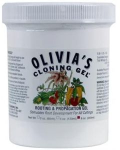 Olivia's Cloning Gel 8 oz