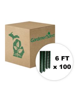 CLEARANCE SALE - PACK OF 100 - Gardener Select Green Steel Stake 6 ft tall Sturdy Stakes 10mm (3/8") Diameter