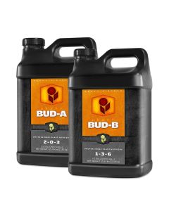 Heavy 16 Bud A & B 2-PACK 2.5 Gallons (Part A 10L & Part B 10L)