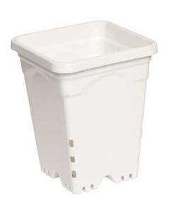Top Seller Spring Sale Active Aqua (Case) 6 x 6 inch Square White Pot 8 inch Tall CASE OF 50