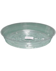 Clear Saucer 6 inch - PACK OF 25