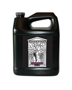 Nectar for the Gods Persephone's Palate 1 Gallon