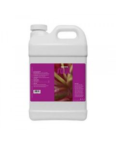 Soul synthetics Peak 2.5 Gallon ((BRAND CLOSEOUT - EXISTING STOCK ONLY!)