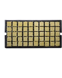 Grodan 1.5” AO Prefilled Tray, Case of 1,500 (30 trays x 50 cubes per tray)