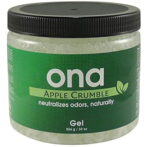 Ona Apple Crumble Gel 30 oz New Container (NOT CARRYING)
