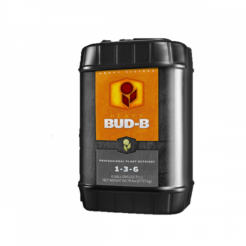 Heavy 16 Bud B 6 Gallon (23L)