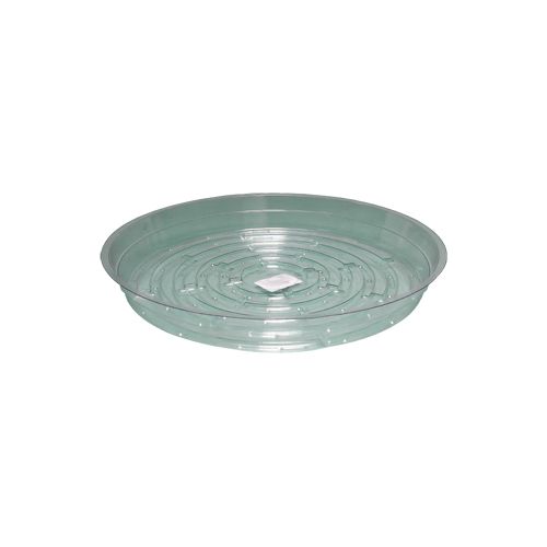 Clear Saucer 10 inch - PACK OF 25