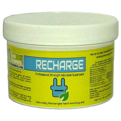Real Growers Recharge 16oz