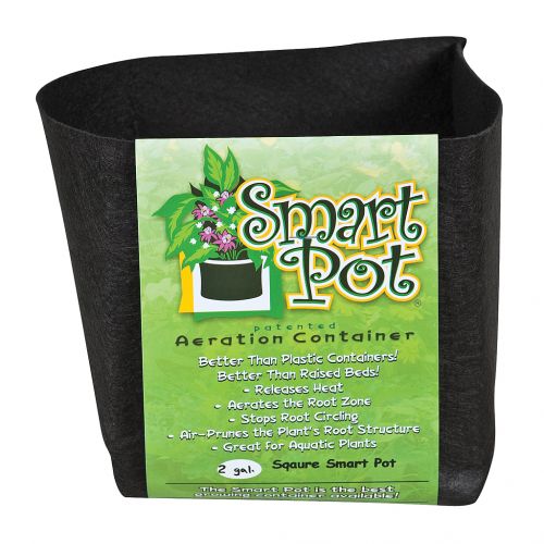 Smart Pot Square #2 - MADE IN USA, BPA FREE, LEAD FREE, PHTHALATE FREE Fabric Pot